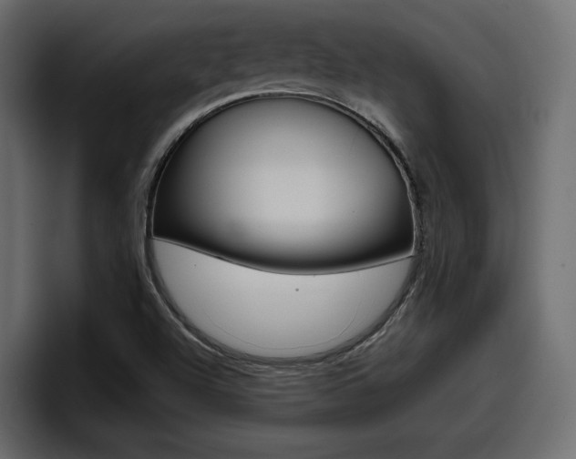 X0000098051504200803280720