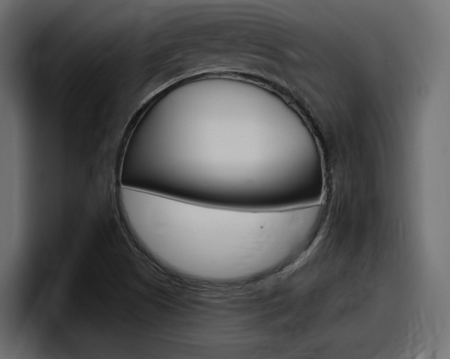 X0000098051505200803280720