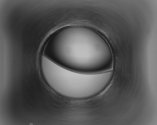X0000098051506200803280720