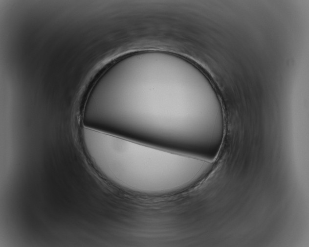 X0000098051507200803280720