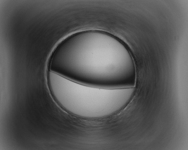 X0000098051508200803280720