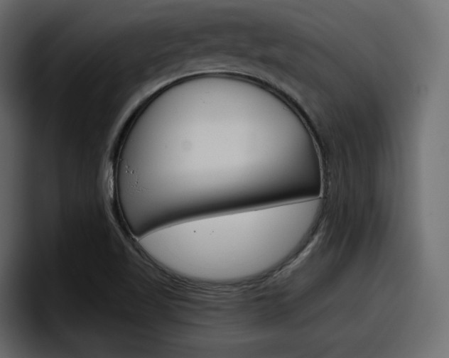 X0000098051509200803280720
