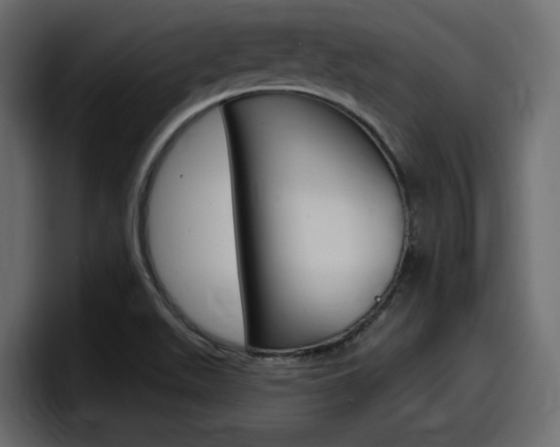 X0000098051511200803280720