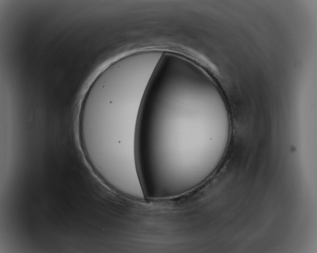 X0000098051512200803280720