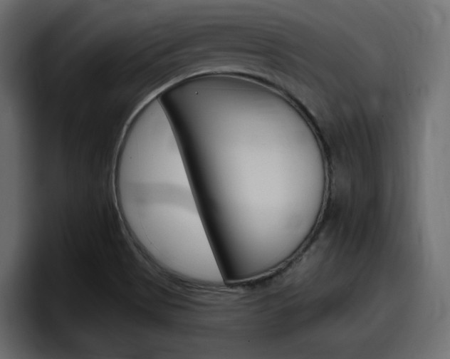 X0000098051513200803280720