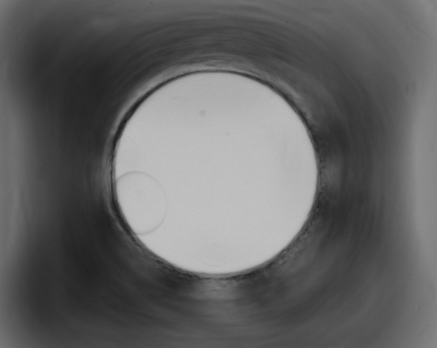 X0000098051514200803280720