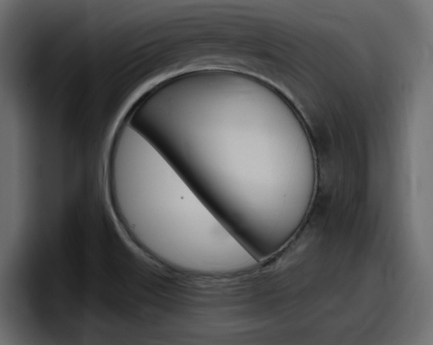 X0000098051515200803280720