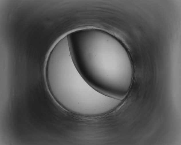 X0000098051516200803280720