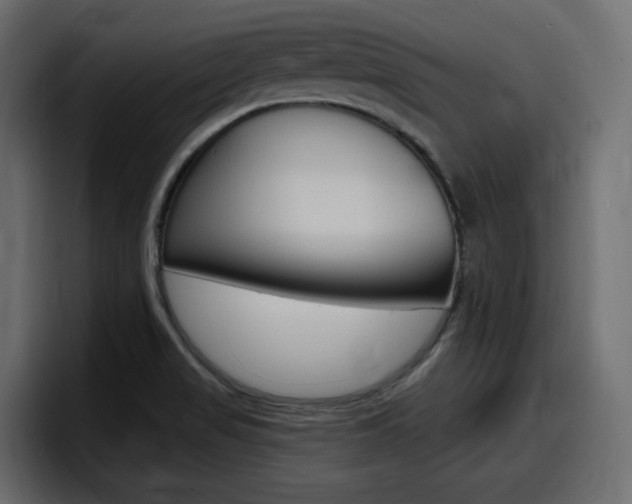 X0000098051517200803280720