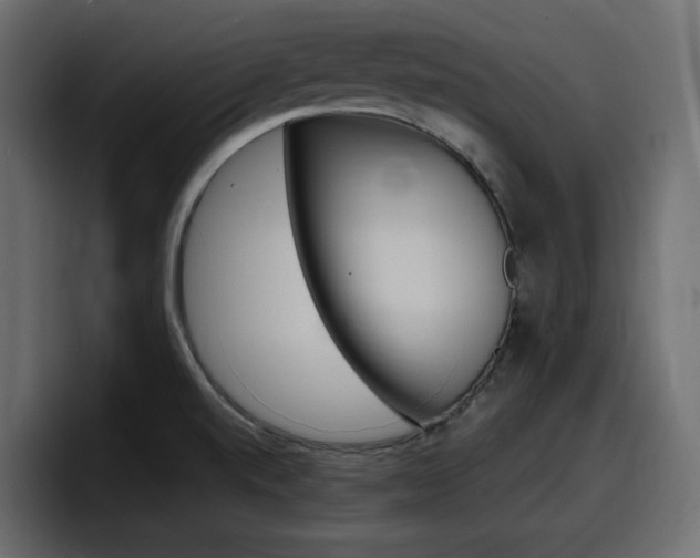 X0000098051520200803280720