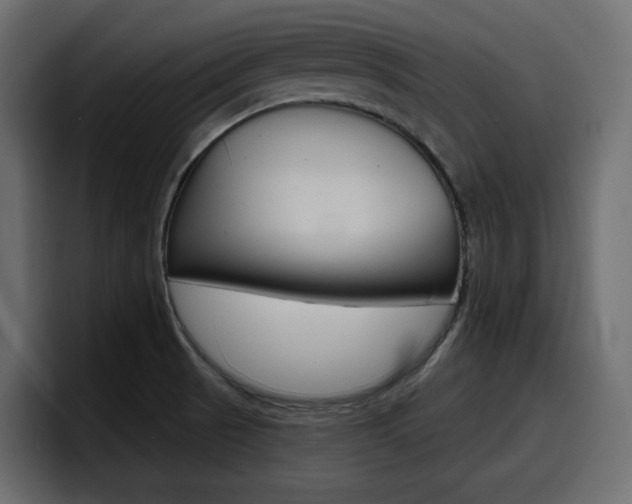 X0000098051521200803280720