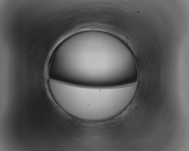 X0000098051522200803280720