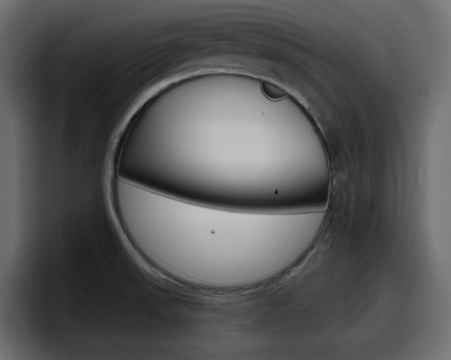X0000098051523200803280720