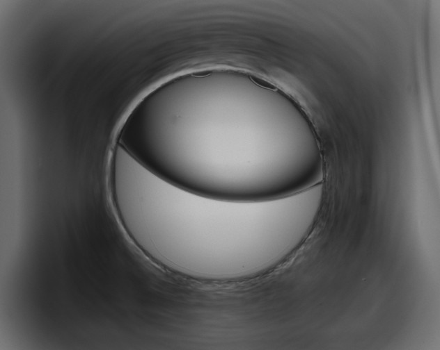 X0000098051524200803280720