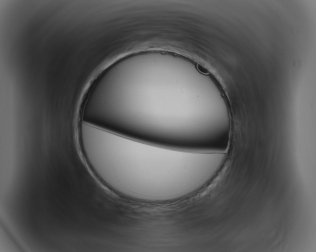 X0000098051525200803280720