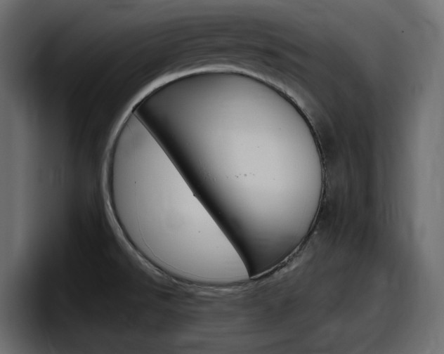 X0000098051526200803280720