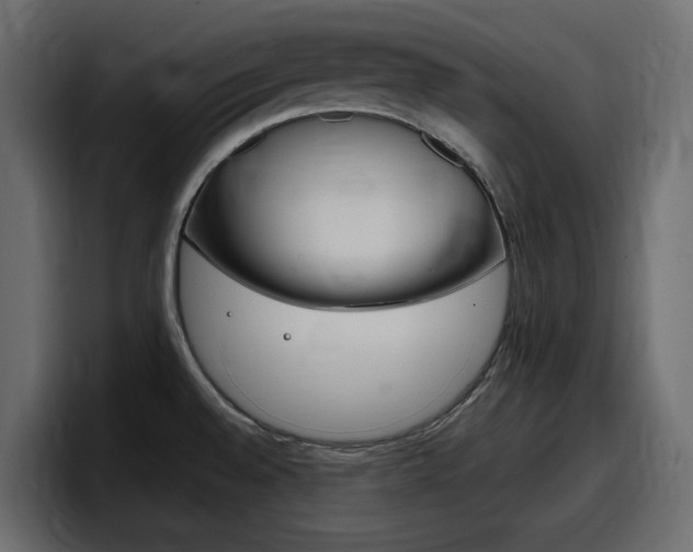 X0000098051528200803280720