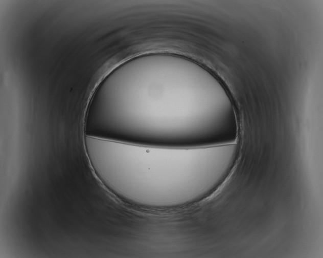 X0000098051529200803280720