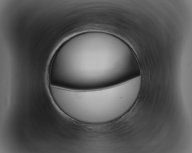 X0000098051531200803280720