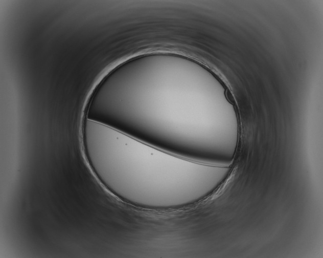 X0000098051533200803280720