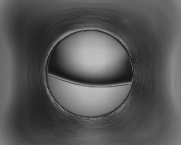 X0000098051534200803280720