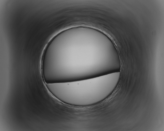 X0000098051535200803280720