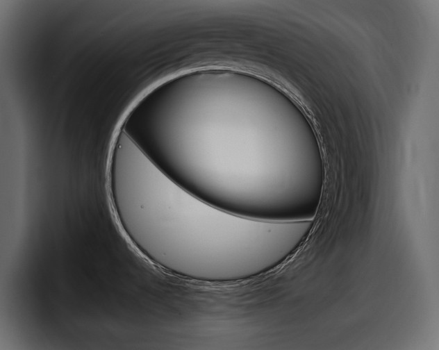 X0000098051536200803280720