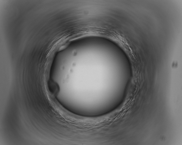 X0000098050001200803281505