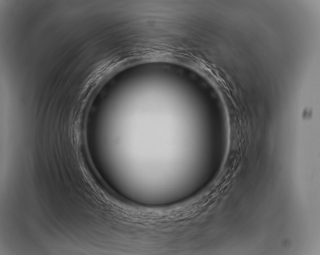 X0000098050002200803281505