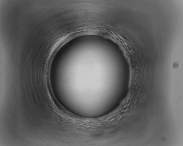 X0000098050003200803281505