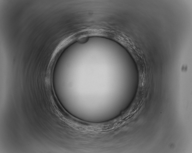 X0000098050004200803281505