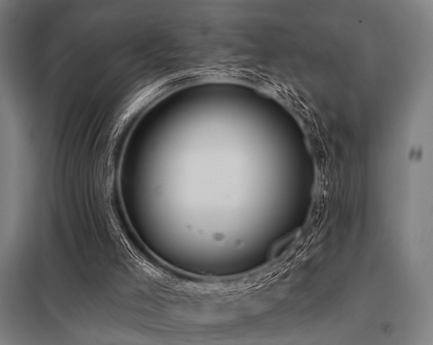 X0000098050005200803281505