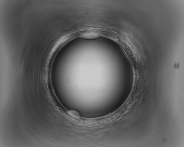 X0000098050006200803281505