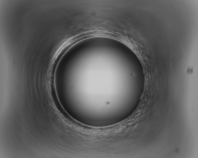 X0000098050007200803281505