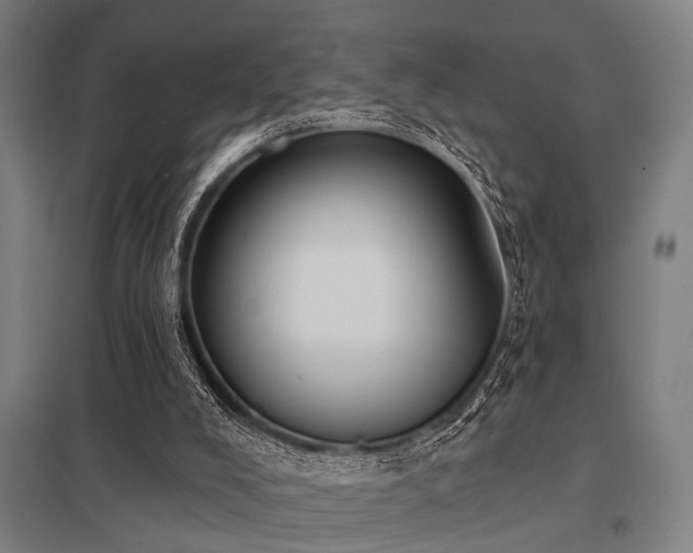 X0000098050008200803281505