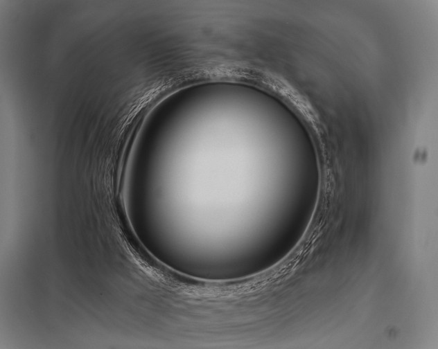 X0000098050009200803281505