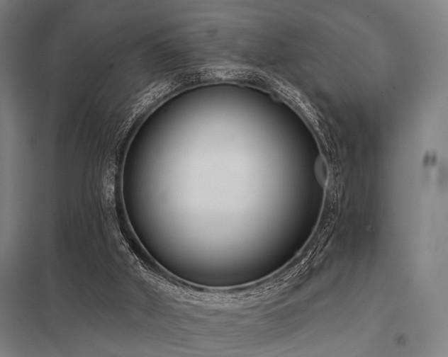 X0000098050010200803281505