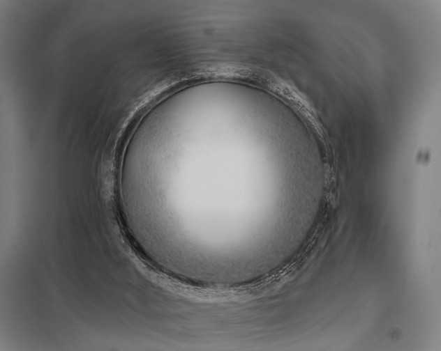 X0000098050012200803281505