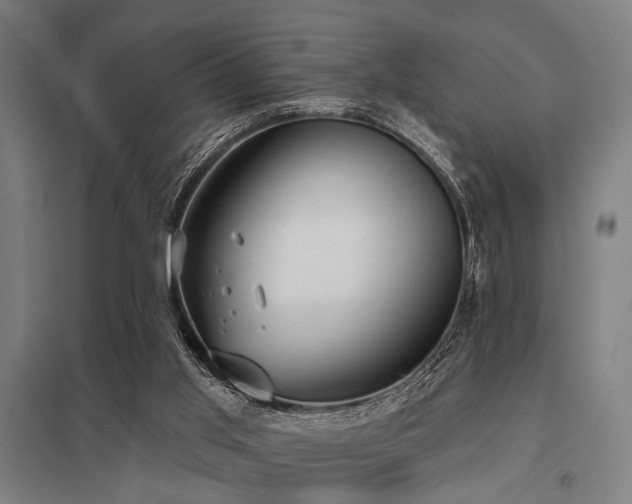 X0000098050013200803281505