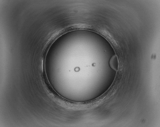 X0000098050014200803281505