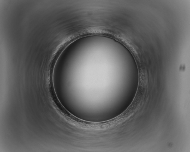 X0000098050015200803281505