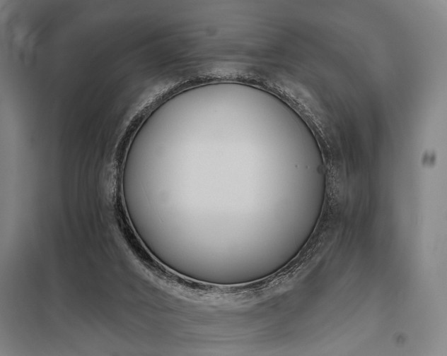 X0000098050016200803281505