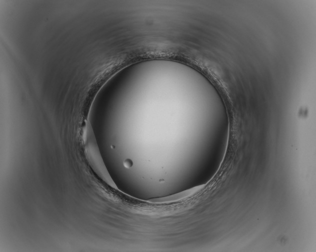 X0000098050017200803281505