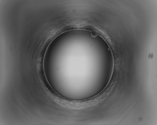 X0000098050018200803281505