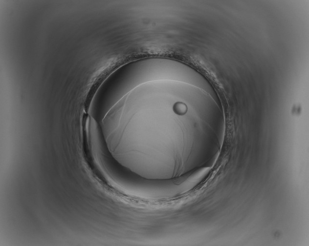 X0000098050019200803281505