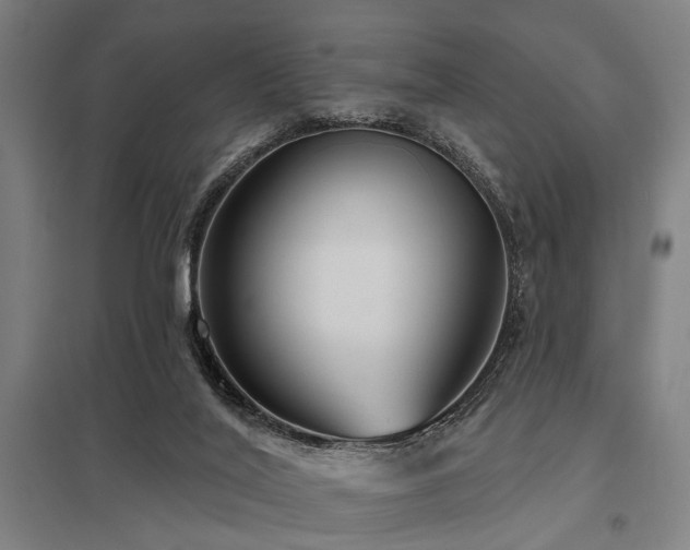 X0000098050020200803281505