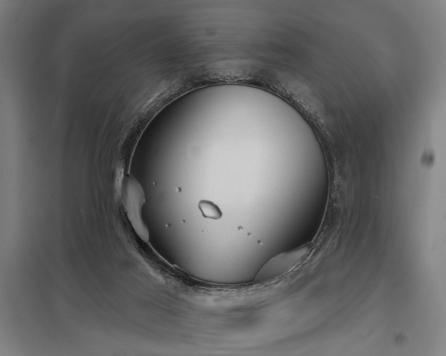 X0000098050021200803281505