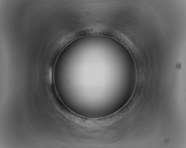 X0000098050022200803281505