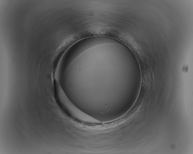 X0000098050023200803281505