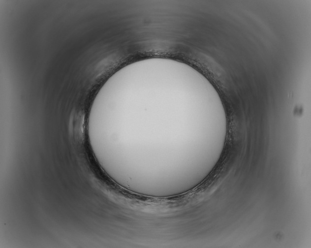 X0000098050024200803281505